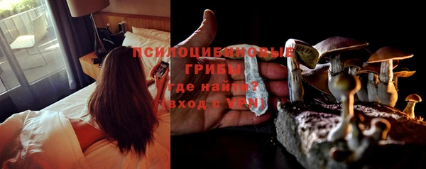 а пвп мука Абаза