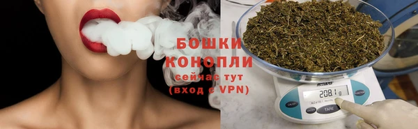 твердый Новодвинск