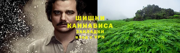 ГАЛЛЮЦИНОГЕННЫЕ ГРИБЫ Новокубанск