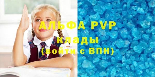 твердый Новодвинск