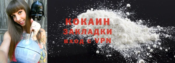 твердый Новодвинск