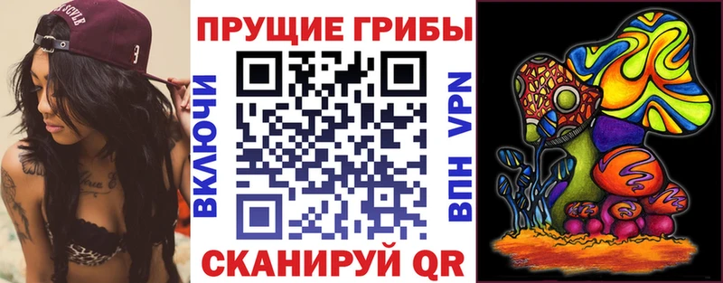 даркнет сайт  МЕГА ссылка  Галлюциногенные грибы Cubensis  Чегем 